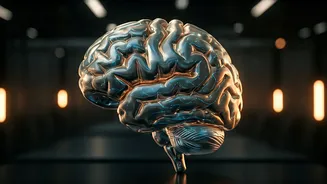 Emotional Intelligence Is Single Best Skill For Corporate Success