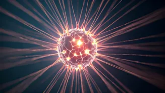 Brain's Decision-Making Rewritten: Early Regions Play Crucial Dynamic Role