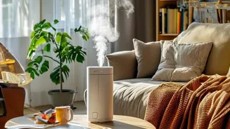 How to manage indoor air during smog