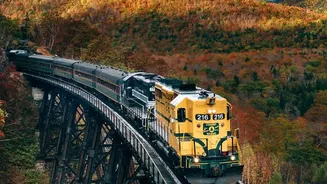 Why Budget Travelers Are Choosing Scenic Northern VistaDome Train Lines For Autumn Holidays