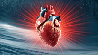 Snow Shoveling Peril: Why This Winter Chore Can Trigger Heart Attacks in Minutes