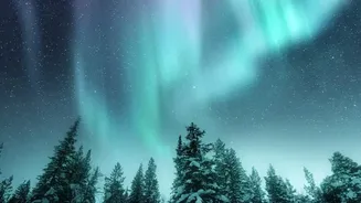 How 2026 Solar Maximum Flares Create Stunning Northern Lights Visibility Globally