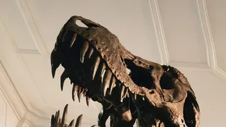 The New Tiny-Dinosaur Study Adds A New Piece To A New Explanation For Small Dinosaurs