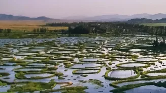 How Rajasthan's Current Monsoon Travel Surge Changes Wetland Breaks In Familiar Dry Landscapes