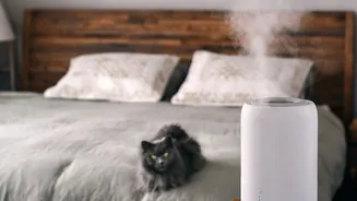 Óleos essenciais e pets: conheça os aromas que podem causar intoxicação grave em cães e gatos