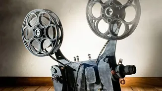 How Historic Cultural Impact Supported The Highest-Grossing Hollywood Cinema Masterpieces Of All Time