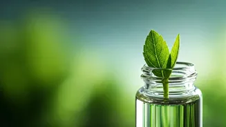 Related Stories banner