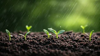Plant These Before The Next Shower