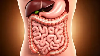 IBS Relief: Try A Natural Treatment Plan