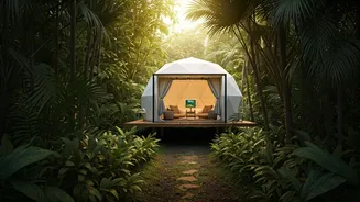 Jungle Travel Is Becoming Softer And Smarter