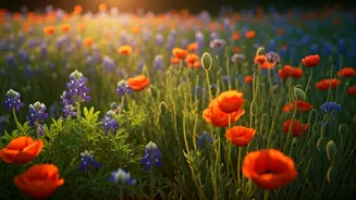 Bloom-Season Escapes Bring Petals, Photos And Peace