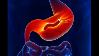 Médica explica se H. pylori pode ser transmitida por água e alimentos