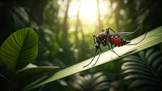 Dengue Content Cannot Stay Metro-Only Anymore