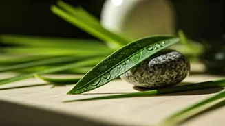 Unlock Your Energy: Ayurvedic Secrets to Combatting Fatigue Naturally