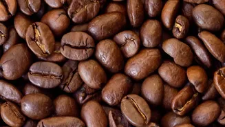 South Indian Single-Origin Coffee: Young Drinkers Ditch Instant For Fresh Estate Roasts