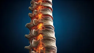 Your Body Speaks: Learn What It Is Saying