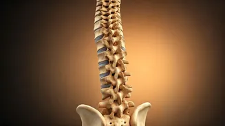 8 Crucial Dos and Don'ts for Back Pain Relief