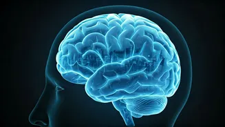 Nick Jonas's Social Anxiety: Understanding & Coping