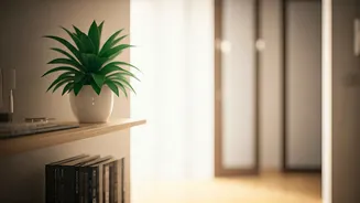 Conquer Your Clutter: The Pro's Guide to a Spotless Home in Just One Day!