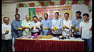 Thane's 10-Day Mango Festival To Support Konkan Farmers Battling Climate Crisis Starting May 1