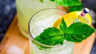 Basil lovers, try these recipes today