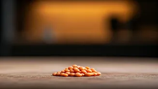 This Ingredient Makes Healthy Food Less Expensive