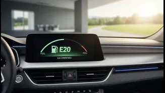 What roll-out of India's first E20-compatible cars means for budget-conscious youth
