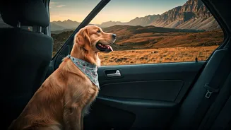Pet Travel Is Becoming A Lifestyle Choice