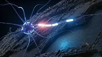The Unseen Hurdles: Why Brain Transplants Remain a Medical Impossibility