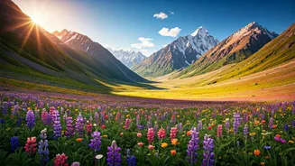 Uttarakhand Trekking Alarm: Valley Of Flowers Opens For 2026