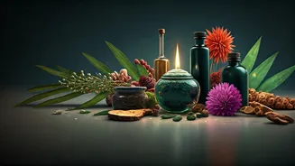 Beyond Snail Mucin: Botanical Trends Hitting Indian Skincare