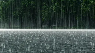 Commutes, Trips, Plans: Monsoon Changes Everything
