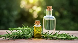 Rosemary Oil and Water Benefit Skin and Hair