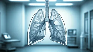 Air Pollution: How It Hurts Your Health