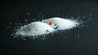 Are Indian Staples Safe? The New Microplastic Study Explains