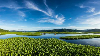 Loktak Lake: Manipur's Jewel and the World's Sole Floating National Park