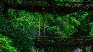 India's Monsoon Weakening Could Have Consequences Beyond Farmers