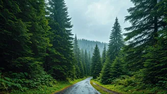 These Nearby Escapes Are Perfect For Cosy Monsoon Days