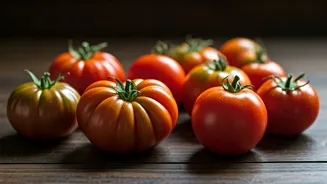 10 Tomato Dishes: A Culinary Journey Around the Globe