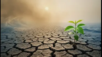 What State of India's Environment 2026 Could Change for Indian Readers