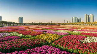 Dubai Miracle Garden: Free Entry on Your Birthday!