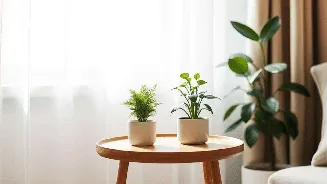 Bring home these vastu approved plants to attract money, prosperity, and peace