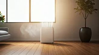 Humidity Can Be Managed With These Tips