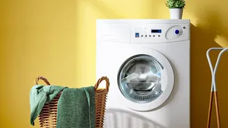 Washing-Machine Access Is Only Half the Shared-Flat Problem