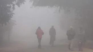 IMD alerts of cold wave across north, central India