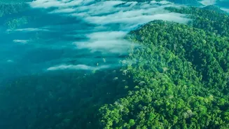 How To Navigate Bangalore To Agumbe Drives While Photography Rainforest Monsoon Sights