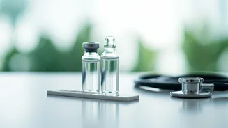 Dipika Kakar's Health Update: Normal Reports Bring Relief, Focus Shifts to Next Treatment Phase