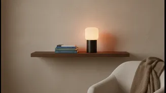 One Shelf And A Good Lamp Can Create A Practical Reading Zone