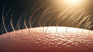 Forget Hair, Focus On Your Scalp First