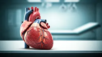 Heart Health: Daily Habits for a Longer Life
